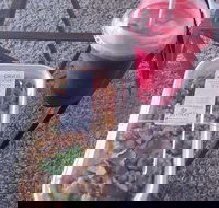 Little Shop of Plenty