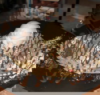 Bay Vista- Brighton-Le-Sands - Brighton-Le-Sands - Tourism Cairns