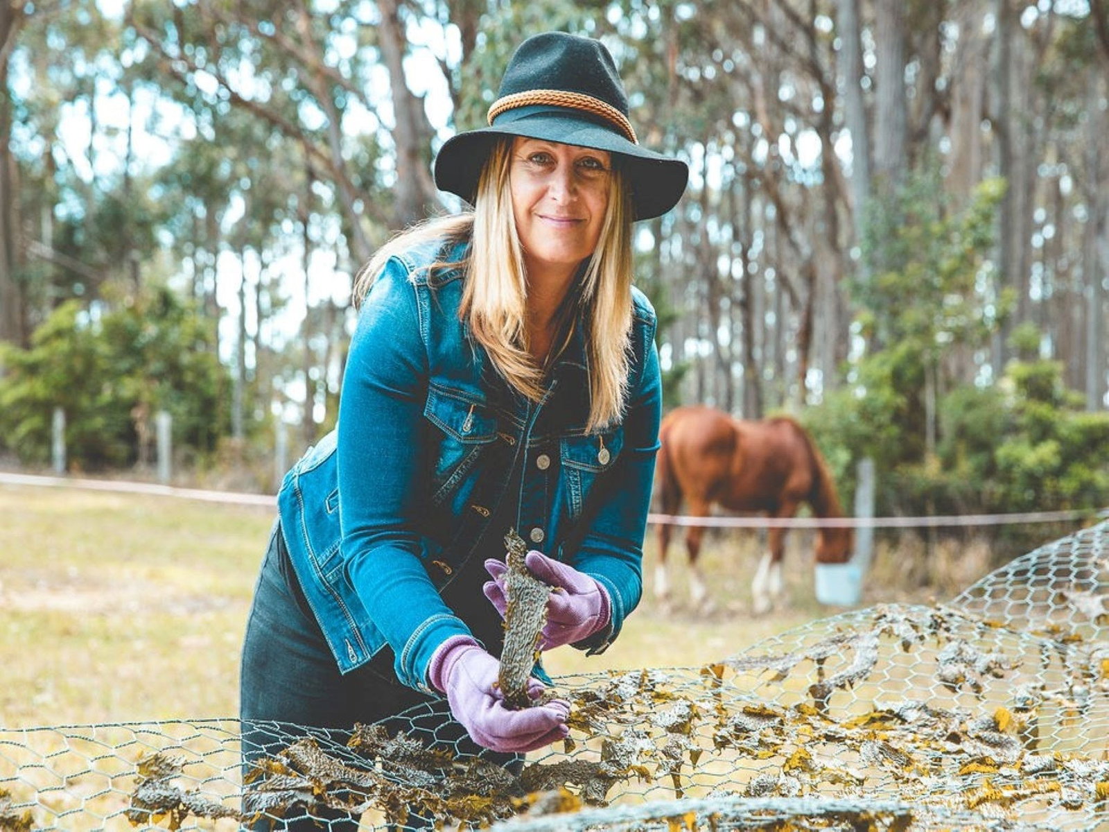 Mystery Bay NSW Tourism Cairns