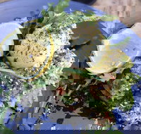 The Pub - Tourism Cairns