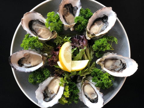 The Wharf At Port Fairy - Tourism Cairns 1
