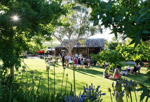 Barristers Block Premium Wines - Tourism Cairns 0