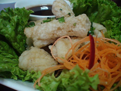 Green Bamboo - Tourism Cairns 0