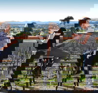 Moothi Estate Vineyard and Cellar Door - Tourism Cairns