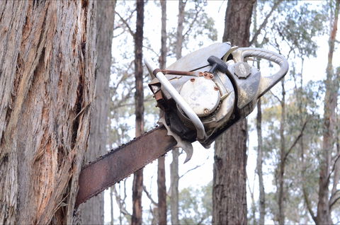 Mount Buninyong Winery - Tourism Cairns 2