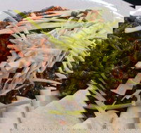 Rising Sun Hotel - Tourism Cairns