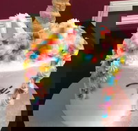 The Cake Gallery - Tourism Cairns