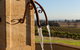 Thomas Allen Wines - thumb 0