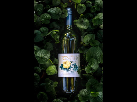 Barossa Chateau Cellar Door - Tourism Cairns 2