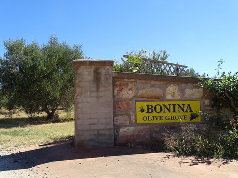 Bonina Olive Grove - Tourism Cairns 1