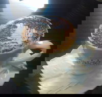 Cafe Marina and Pizzaria