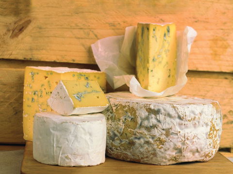 Cheese Shop At Makers' Workshop Burnie - The - Tourism Cairns 1