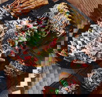 Tequila n Tacos - Tourism Cairns