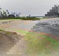 South West Rocks Country Club - Tourism Cairns