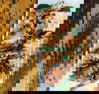 The River Hotel - Tourism Cairns