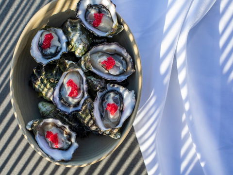 The Rocks - Restaurant, Bar, Pool Club - Tourism Cairns 1