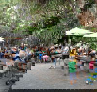 Apollonian Hotel - Tourism Cairns