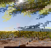 Hayes Family Wines - Tourism Cairns