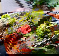 The Berry Farm Cottage Caf - Tourism Cairns