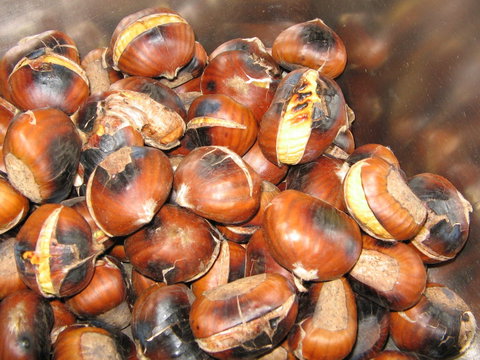 Tweenhills Chestnuts - Tourism Cairns 0