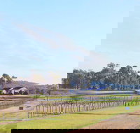 Blacklea Vineyard and Olive Grove - Tourism Cairns