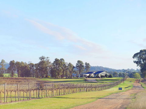 Blacklea Vineyard And Olive Grove - Tourism Cairns 0