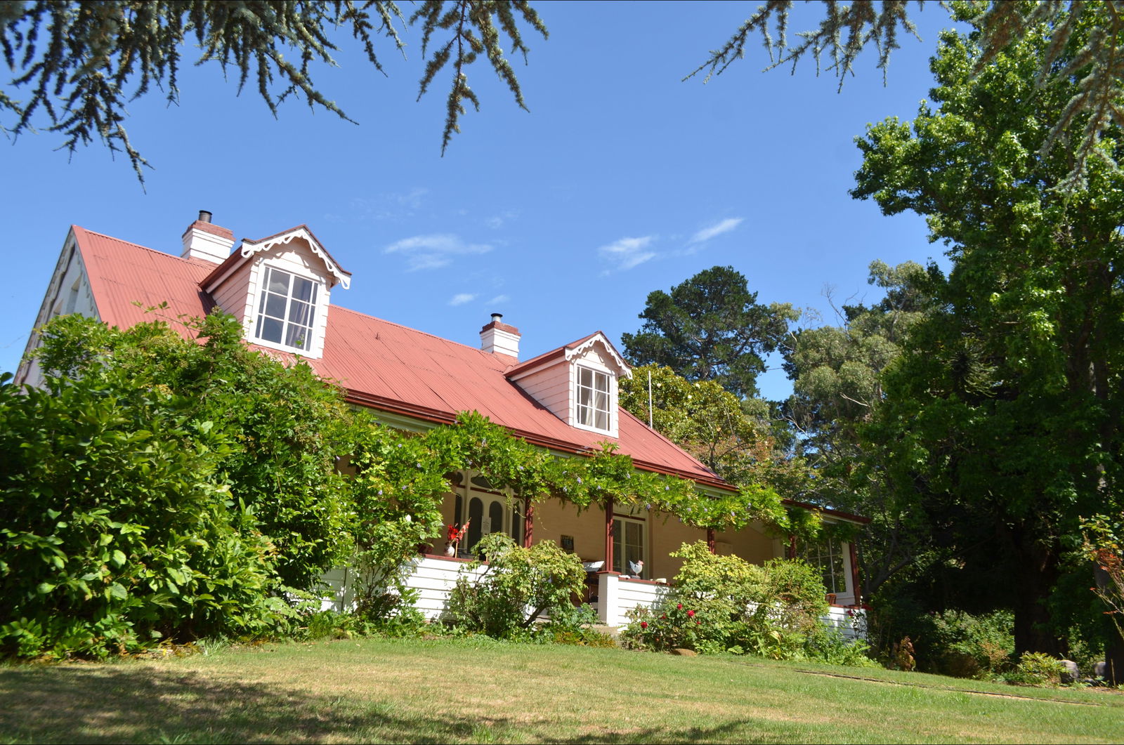 Bushy Park TAS Tourism Cairns