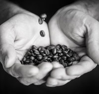 The Caffeine Project - Tourism Cairns
