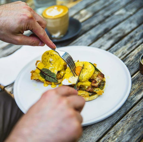 Travelling Bandit - Tourism Cairns 0