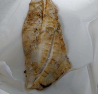 Chipper Fish - Tourism Cairns