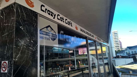Crazy Cat Cafe - Tourism Cairns 0