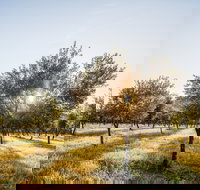 Guneemooroo Estate - Tourism Cairns