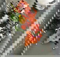 KALV  Co. Cafe and Wine Bar - Tourism Cairns