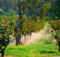 The Red Apron Gourmet Kitchen - Tourism Cairns