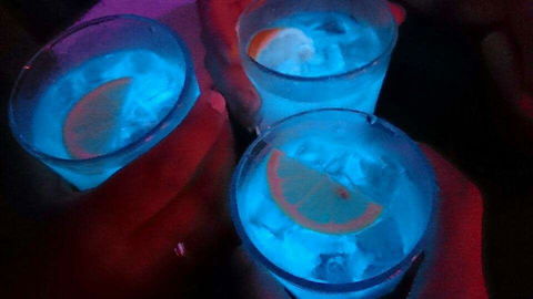 Humming Bird Dutch Cakes - Tourism Cairns 0