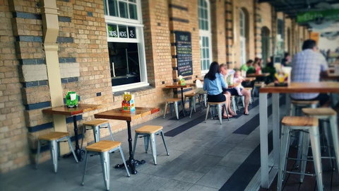 Zero Fox - Tourism Cairns 0