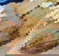 Amphora Bar  Grill - Tourism Cairns