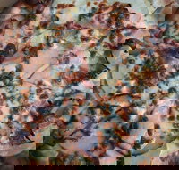 Il Maestro - Tourism Cairns