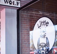 Little Bad Wolf - Tourism Cairns