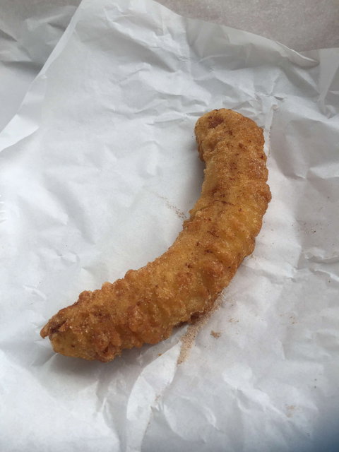 Blue Ocean - Tourism Cairns 0