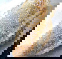 Davelle's Bakery - Tourism Cairns