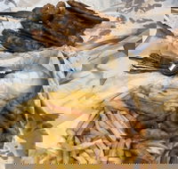 Miami Fish and Chip Shack - Tourism Cairns