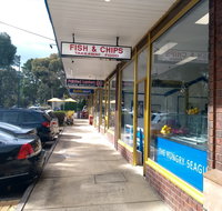The Hungry Seagull - Tourism Cairns