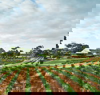 Vasse Felix Winery - Tourism Cairns