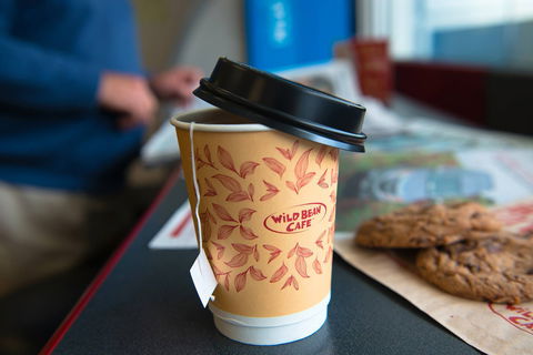 Wild Bean Cafe - Croydon - Tourism Cairns 0