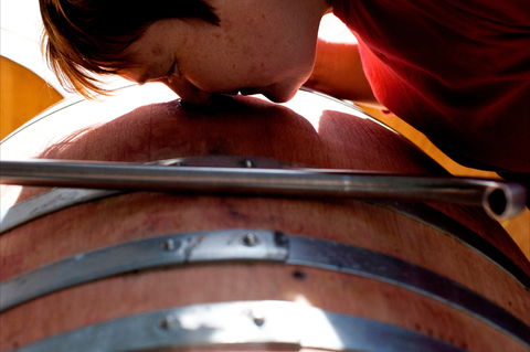 Yarrh Wines - Tourism Cairns 2