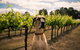 Oakvale Wines - thumb 2