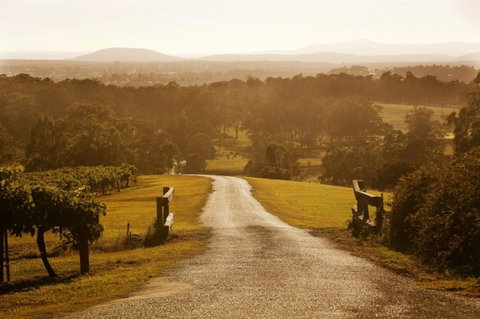 Petersons Wines - Tourism Cairns 0