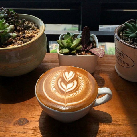V Espresso - Tourism Cairns 0
