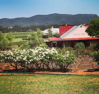 Hanging Tree Wines - Tourism Cairns